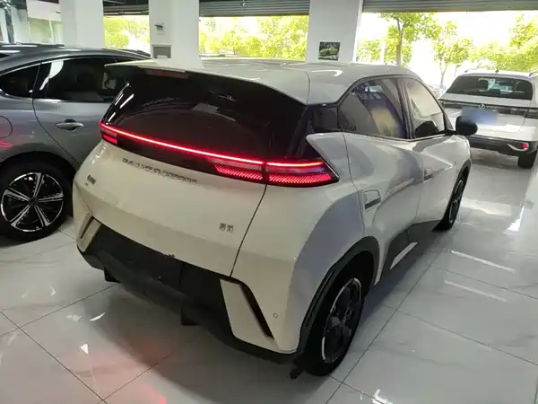 BYD Seagull 2024