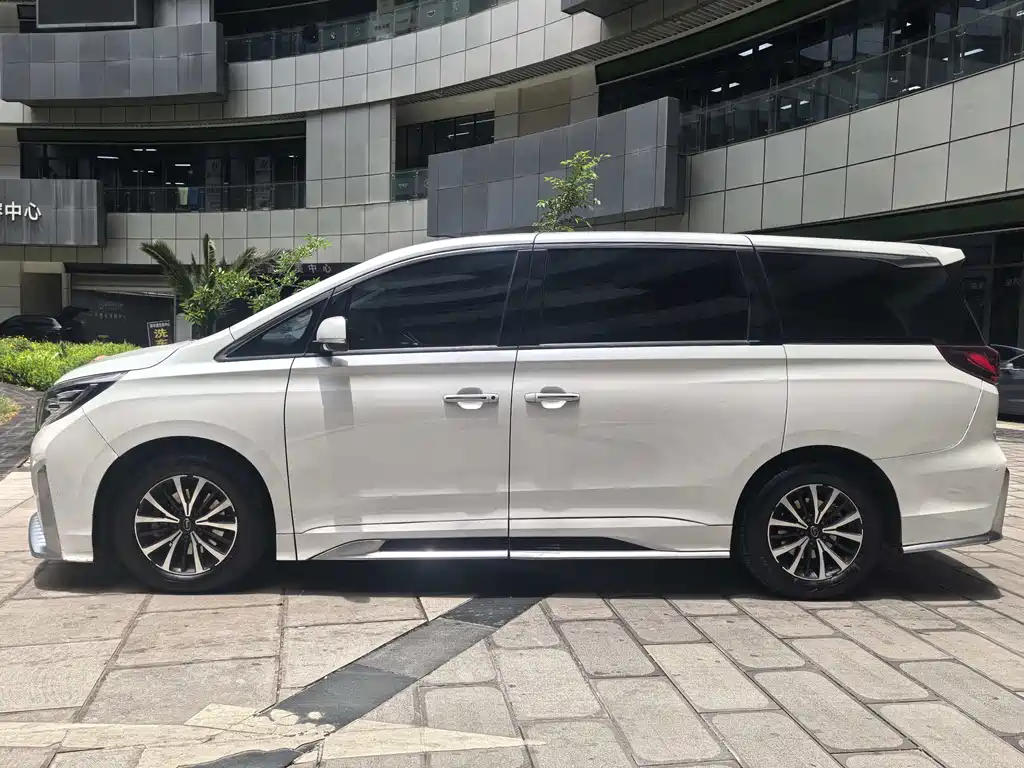 GAC Motor Trumpchi M8 2023 — фото 8
