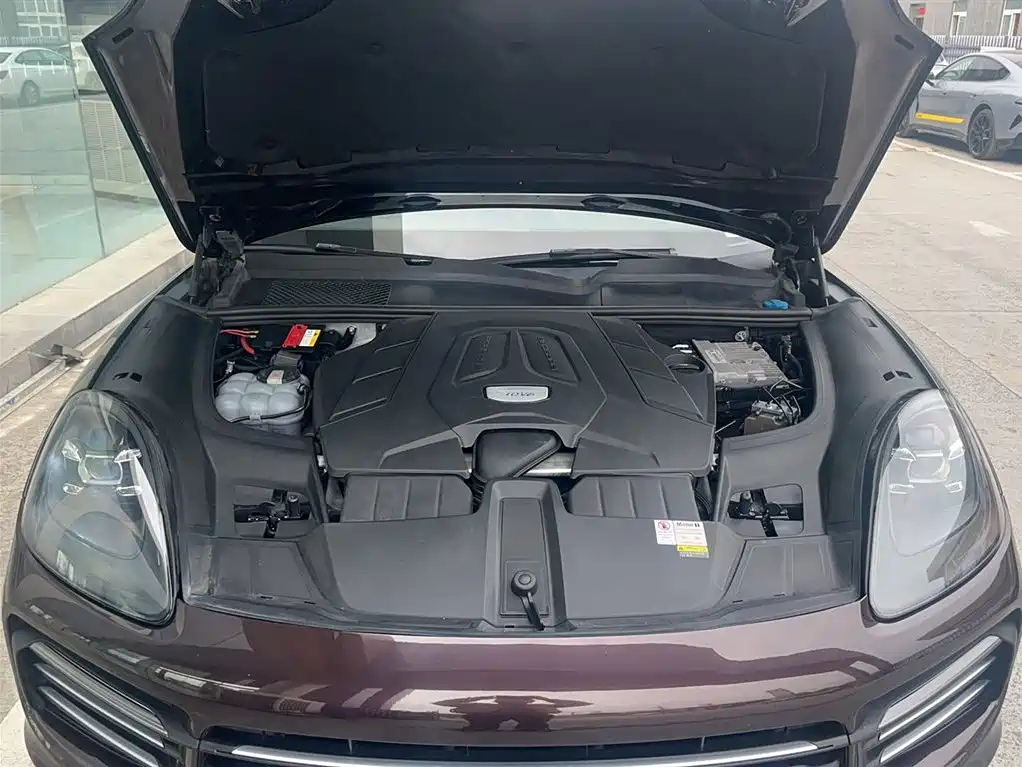 Porsche Cayenne 2019 — фото 16