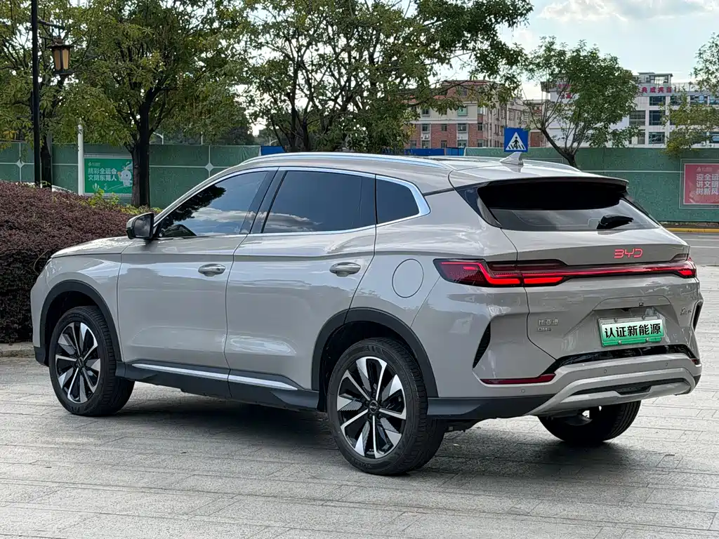 BYD Song PLUS New Energy 2024 — фото 18