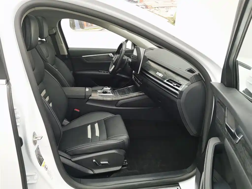 BYD Qin Pro NEV 2019 — фото 23