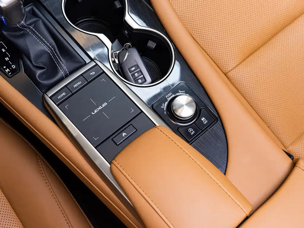 Lexus RX 2020 — фото 18