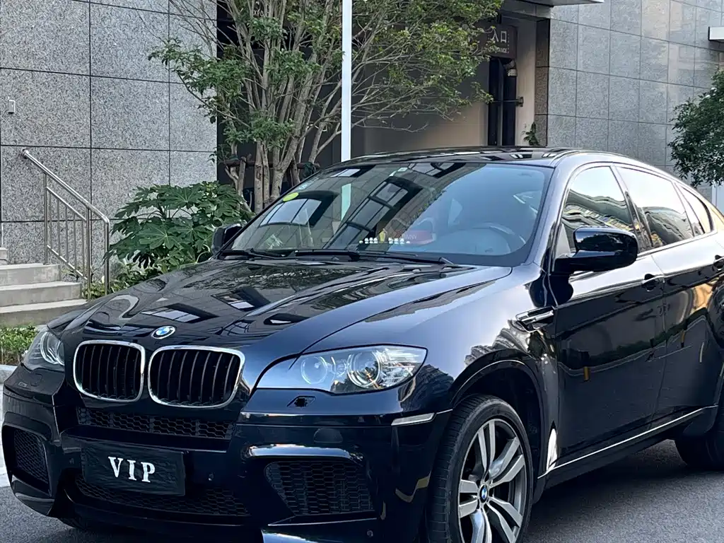 BMW X6 M 2011 — фото 1