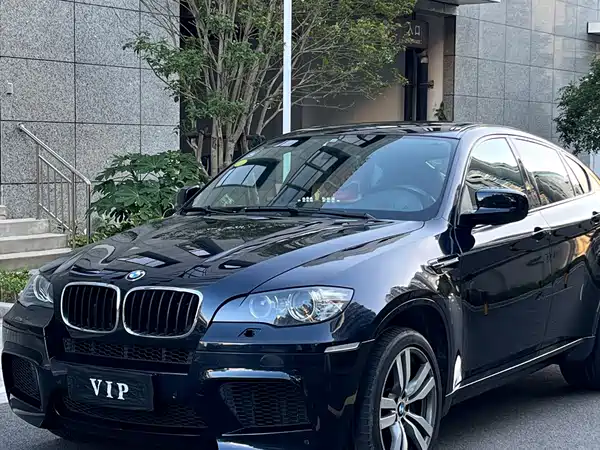 BMW X6 M 2011
