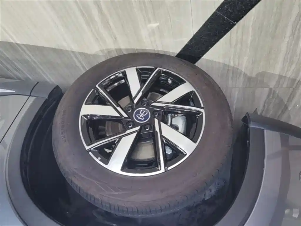 BYD Pro New Energy 2025 — фото 23