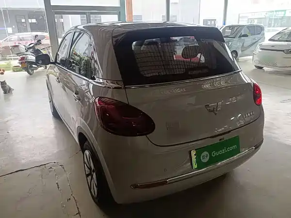 Wuling Bingo 2024
