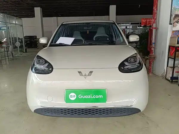 Wuling Bingo 2024