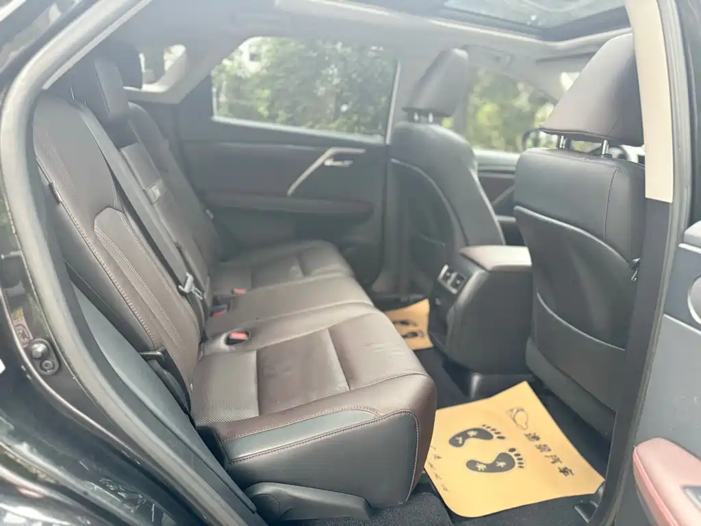 Lexus RX 2019 — фото 16