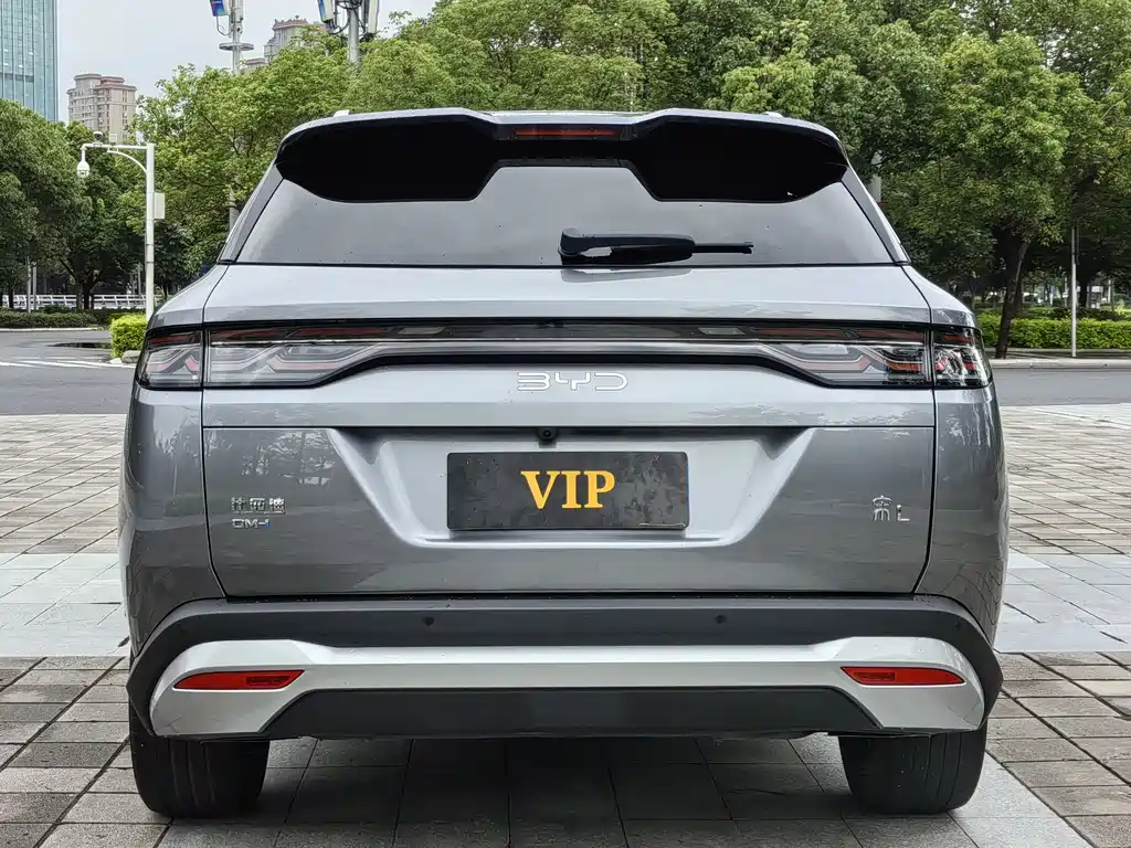 BYD L DM-i 2024 — фото 31