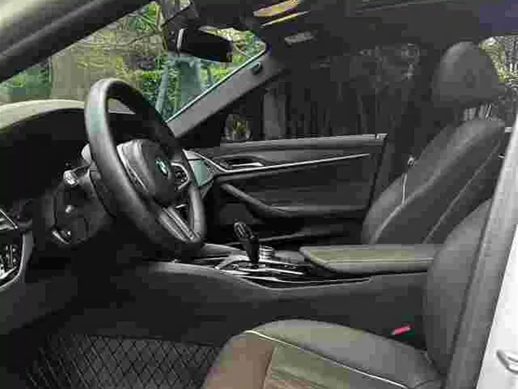 BMW 5 Series New Energy 2021