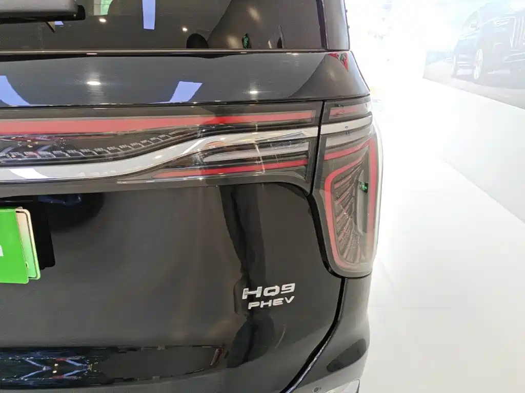 Hongqi HQ9 PHEV 2024 — фото 8