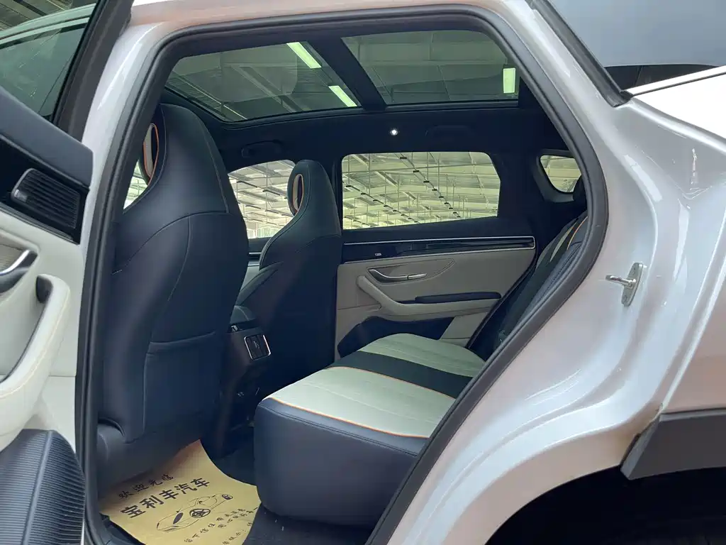BYD Song PLUS New Energy 2022 — фото 13