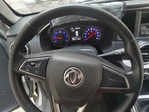 Dongfeng Ruiqi 2024
