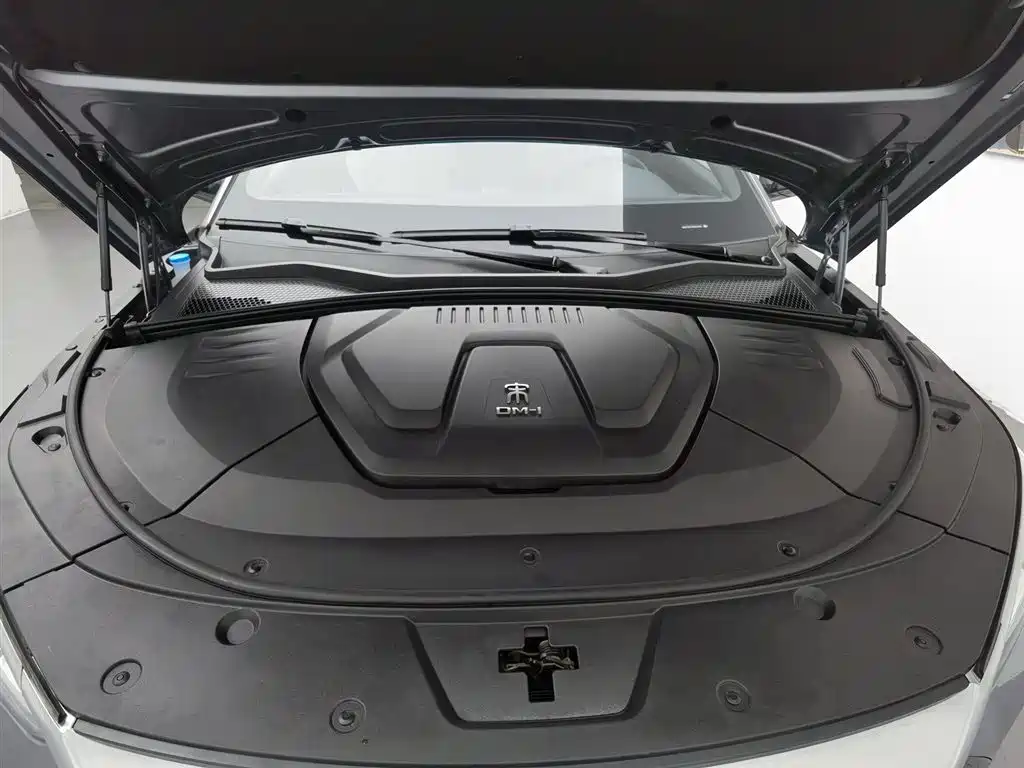 BYD PLUS New Energy 2023 — фото 6