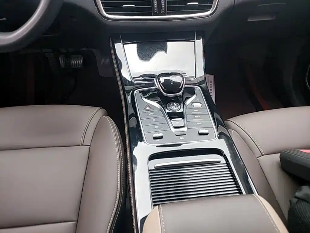 BYD Song MAX New Energy 2023 — фото 14