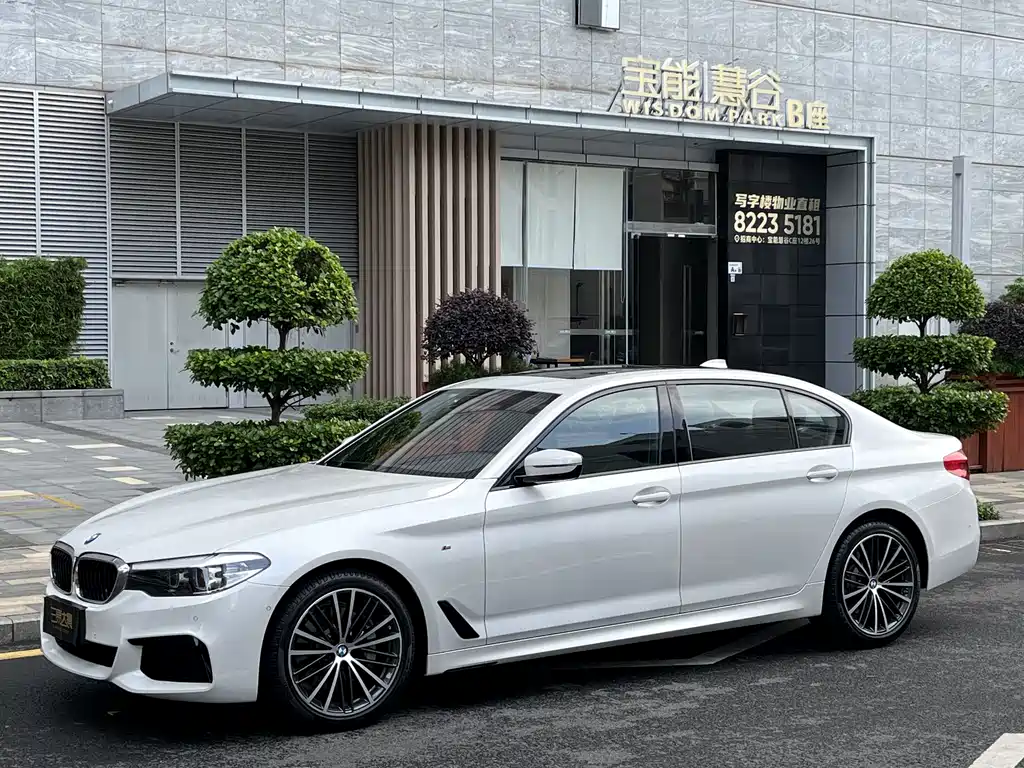 BMW 5 Series 2019 — фото 6
