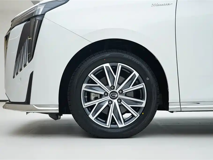 GAC Motor Trumpchi M8 2024 — фото 16