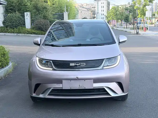 BYD Dolphin 2024