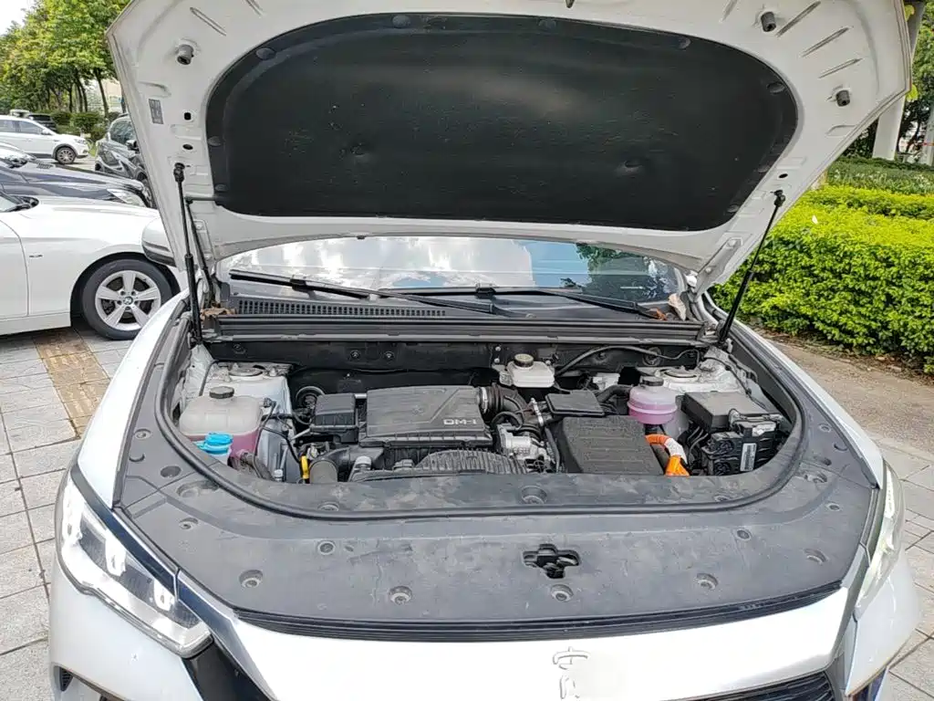 BYD Song Pro New Energy 2024 — фото 20