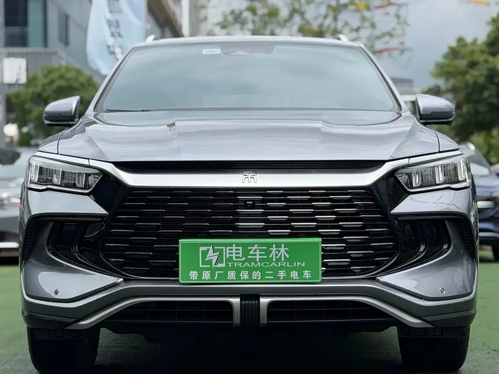 BYD Pro New Energy 2023 — фото 2