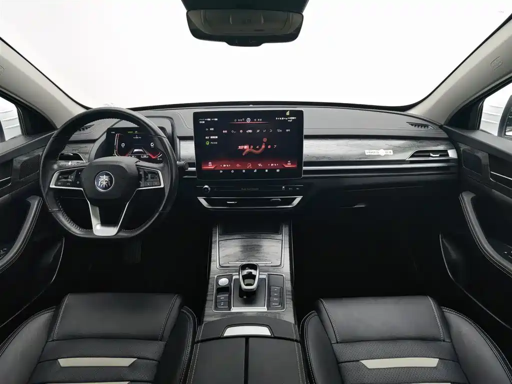 BYD Qin Pro NEV 2019 — фото 5