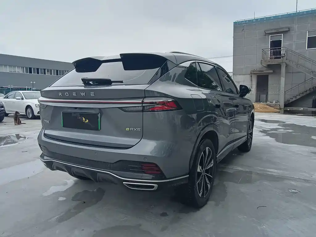 Roewe RX5 New Energy 2022 — фото 10