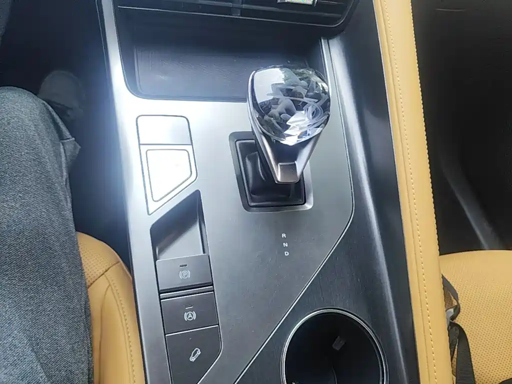Roewe RX5 New Energy 2024 — фото 14