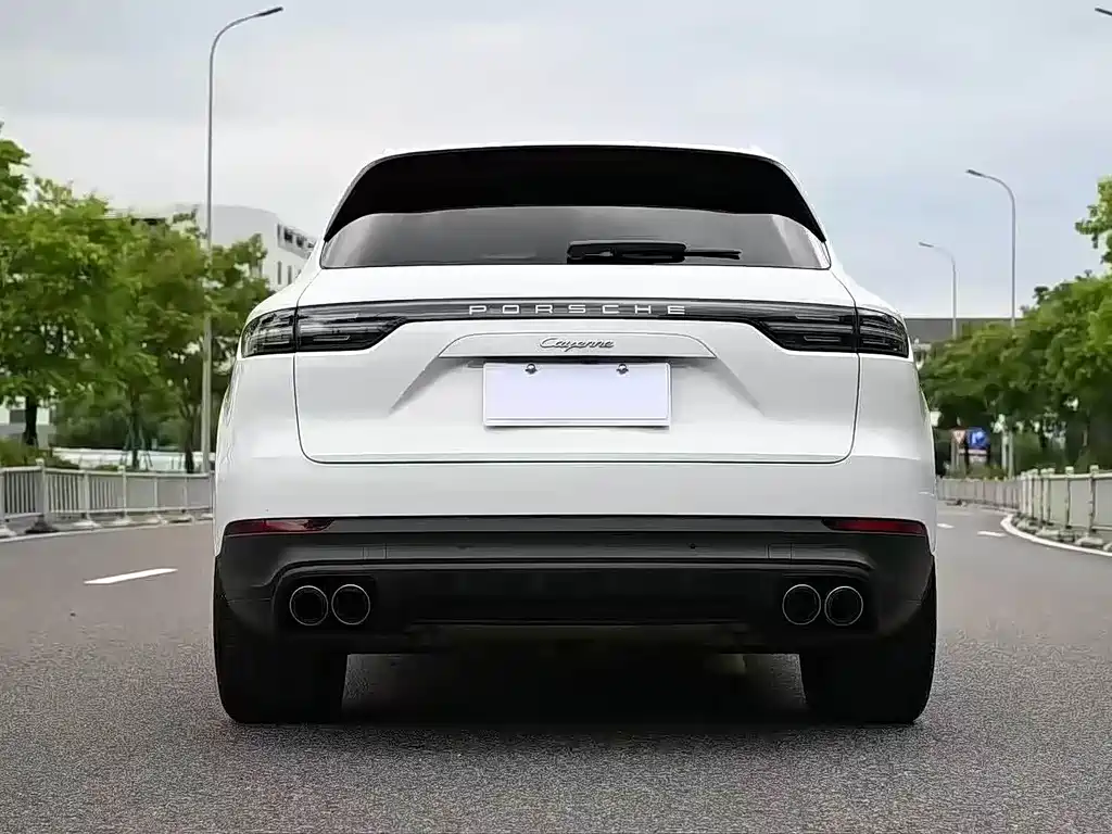 Porsche Cayenne 2020 — фото 10