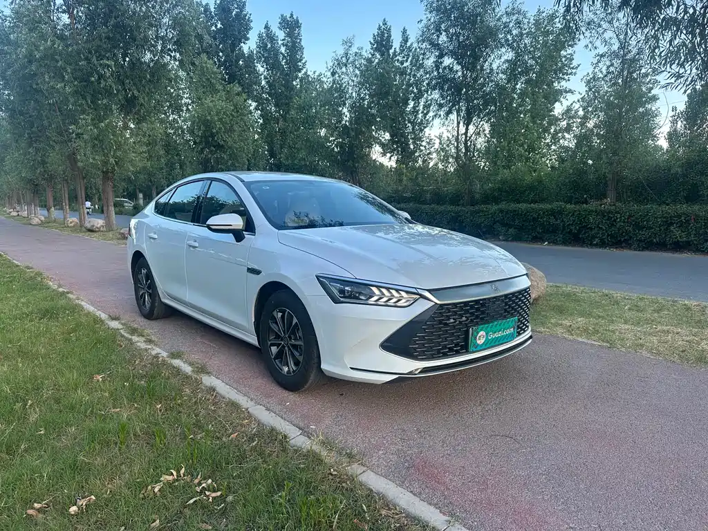 BYD Qin PLUS 2024