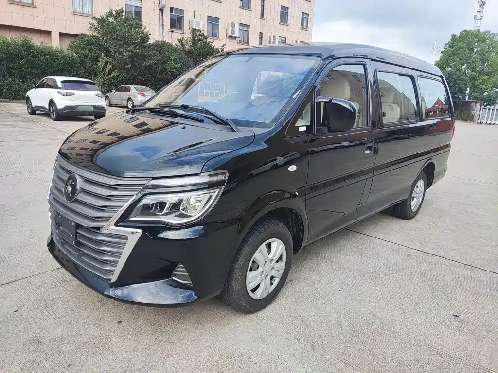Dongfeng Lingzhi 2024