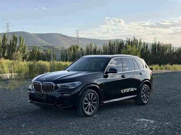 BMW X5 2019