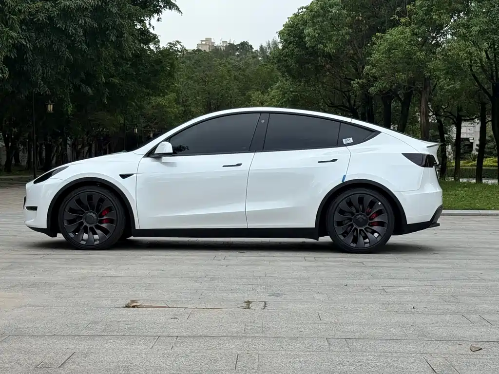 Tesla Model Y 2023 — фото 4