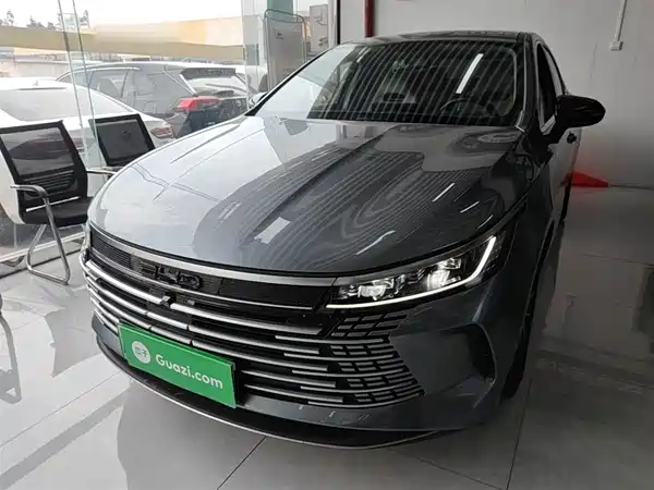 BYD Destroyer 05 2024