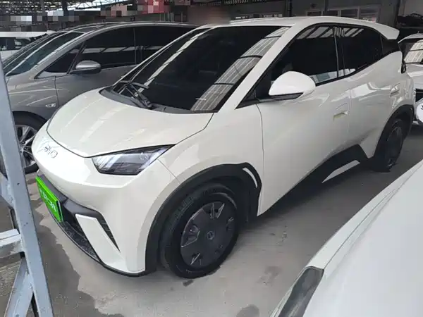 BYD Seagull 2024