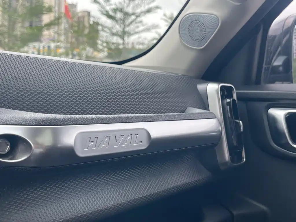 Haval Big Dog 2021 — фото 16