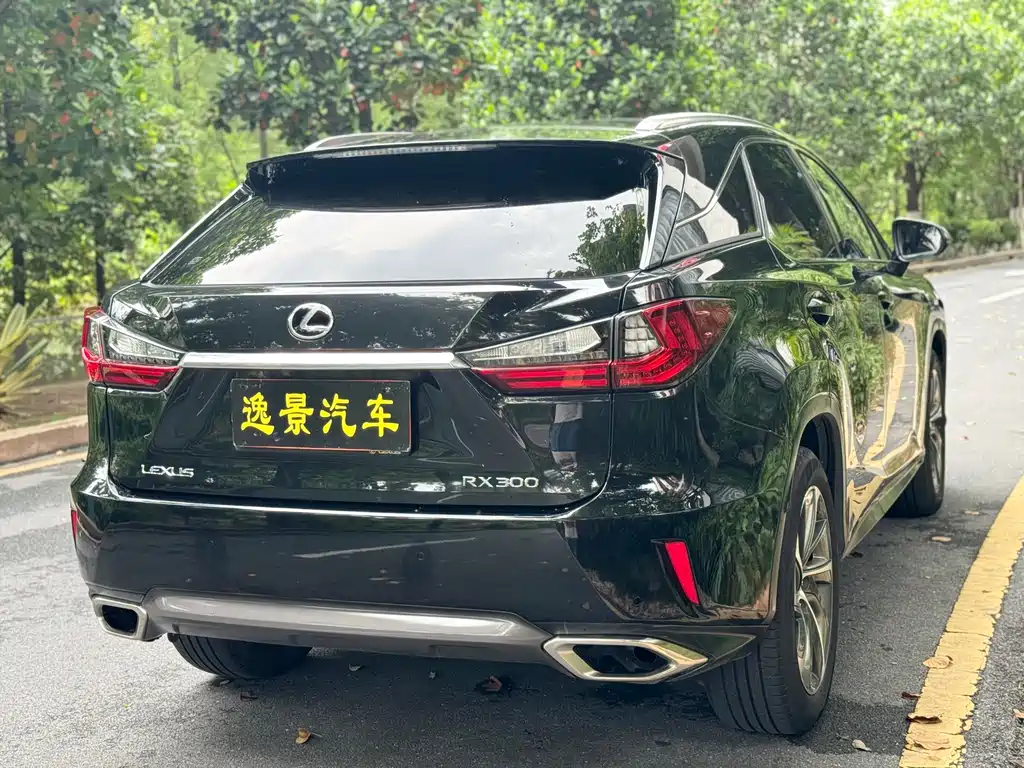 Lexus RX 2019 — фото 22