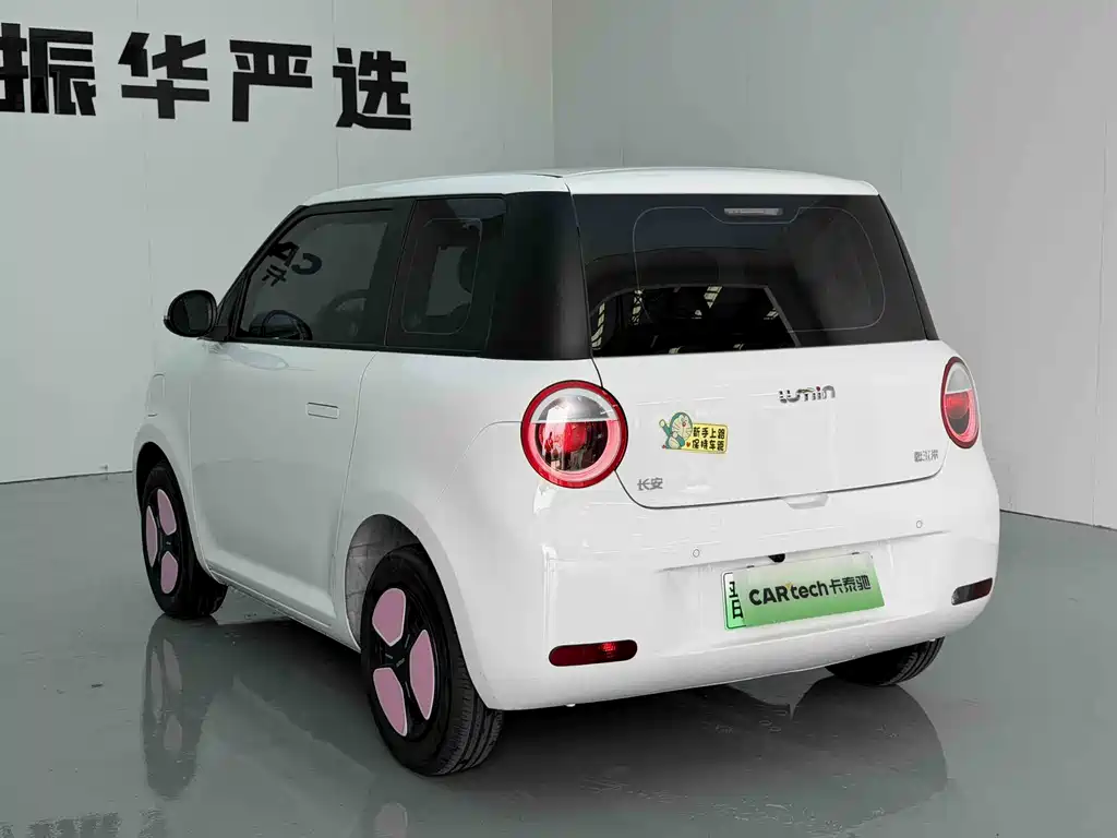 Qiyuan Lumin 2025