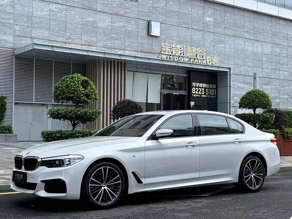 BMW 5 Series 2019 — фото 1
