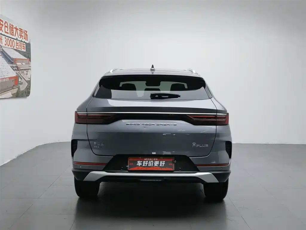 BYD PLUS New Energy 2023 — фото 4