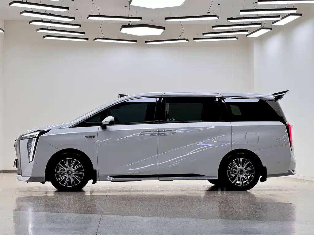 GAC Motor Xiangwang M8 2025 — фото 4