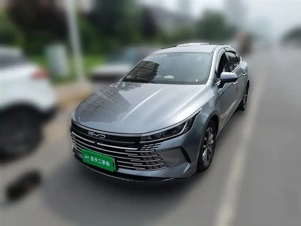 BYD Destroyer 05 2024 — фото 2