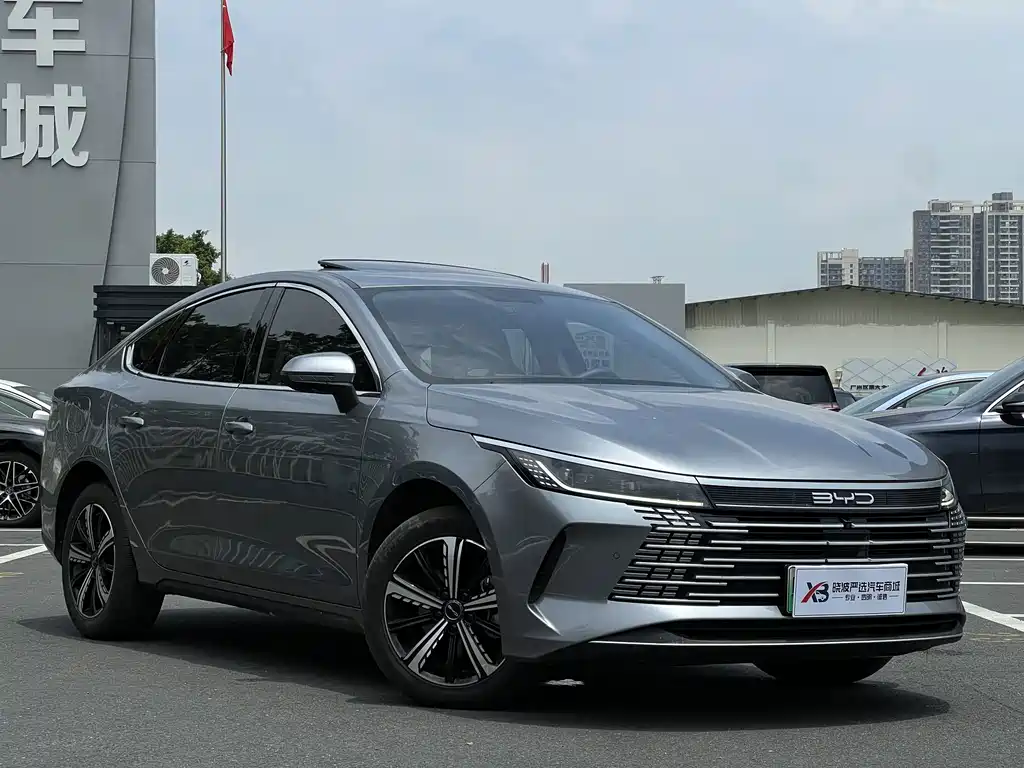 BYD Destroyer 05 2023 — фото 3