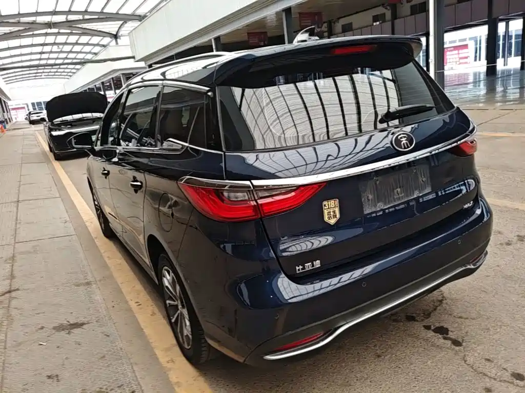 BYD MAX 2020