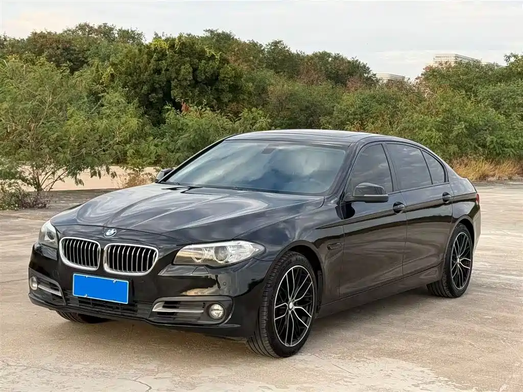BMW 5 Series 2015