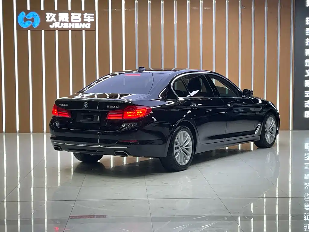 BMW 5 Series 2018 — фото 17