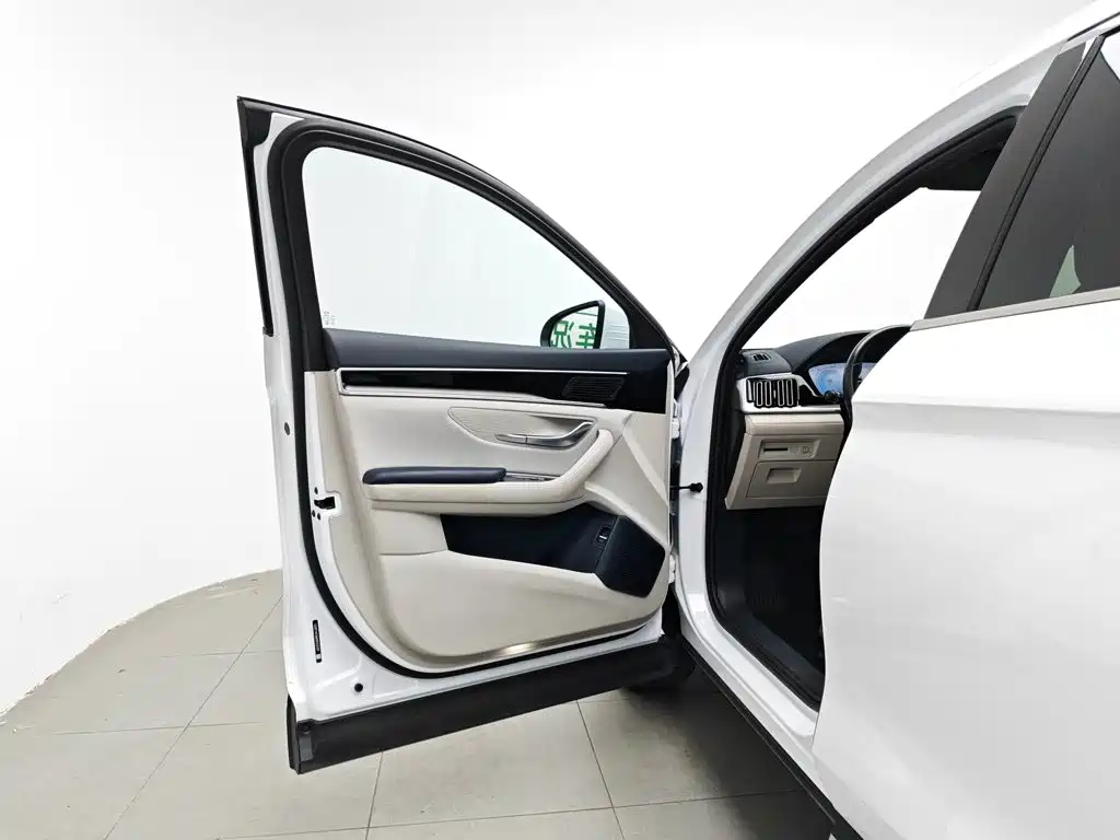 BYD Song PLUS New Energy 2024 — фото 8