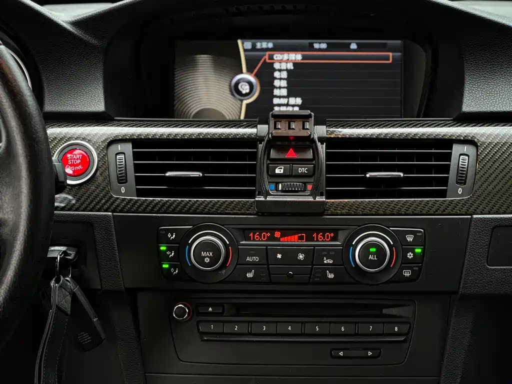 BMW 3 Series 2010