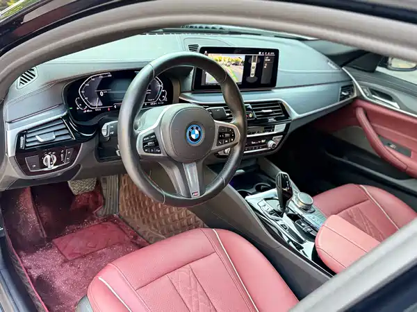 BMW 5 Series New Energy 2022