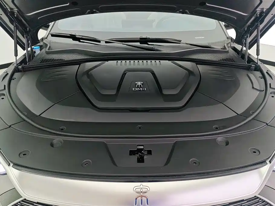 BYD PLUS New Energy 2023 — фото 10