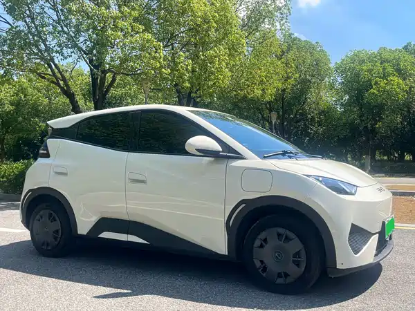 BYD Seagull 2025